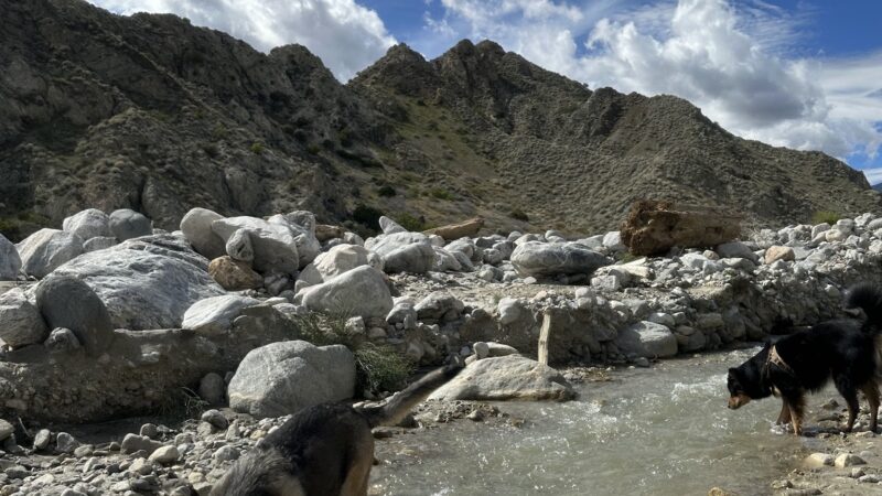 Mission Creek Shelter - Whitewater, CA