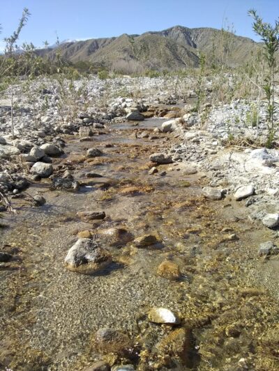 Mission Creek Shelter - Whitewater, CA