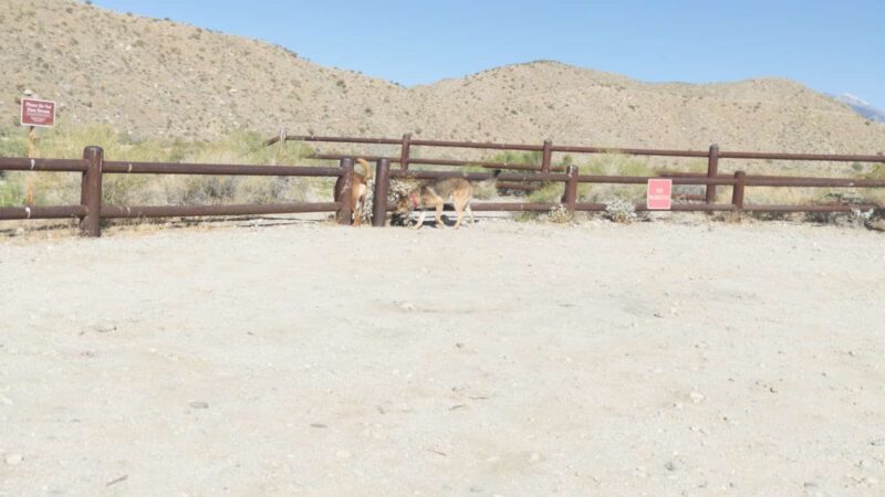 Mission Creek Trailhead - Whitewater, CA