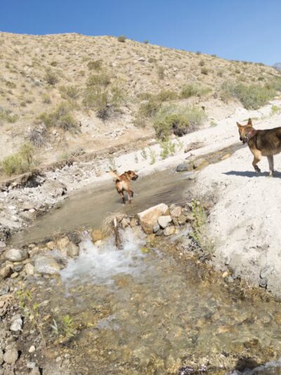 Mission Creek Trailhead - Whitewater, CA