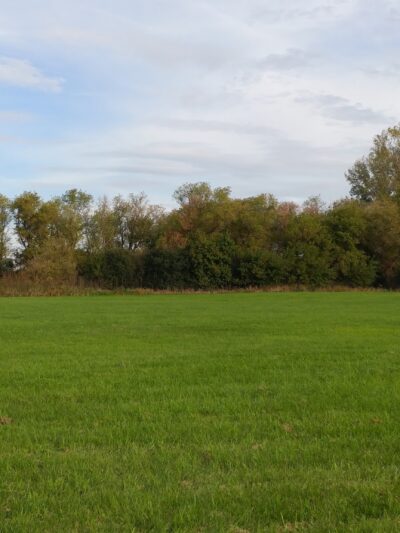 Whitewater Bark Park - Whitewater, WI