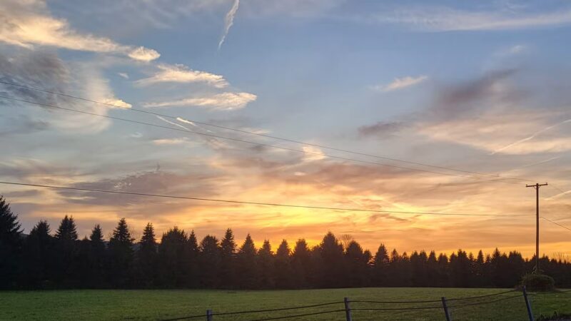 Whitney Point Community and Lake Walkway/Bikeway - Whitney Point, NY