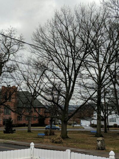 Firwood Park - Wilkes-Barre, PA