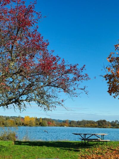 Hampton Park - Willamina, OR