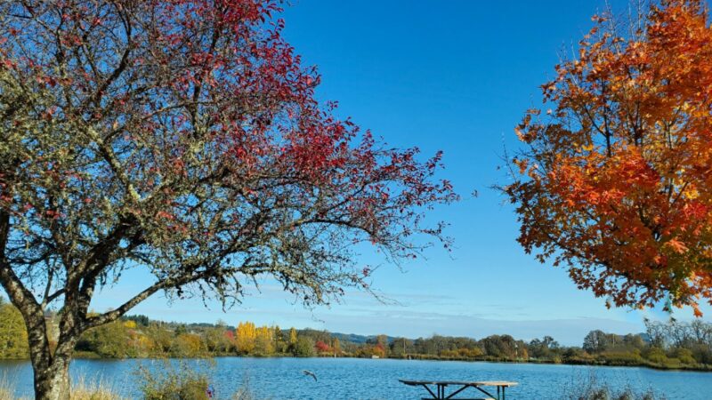 Hampton Park - Willamina, OR