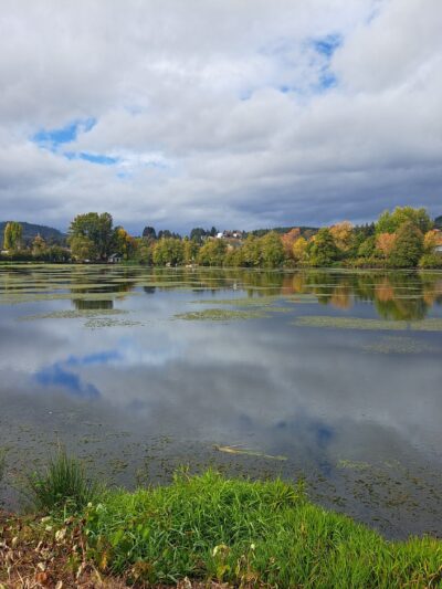 Hampton Park - Willamina, OR