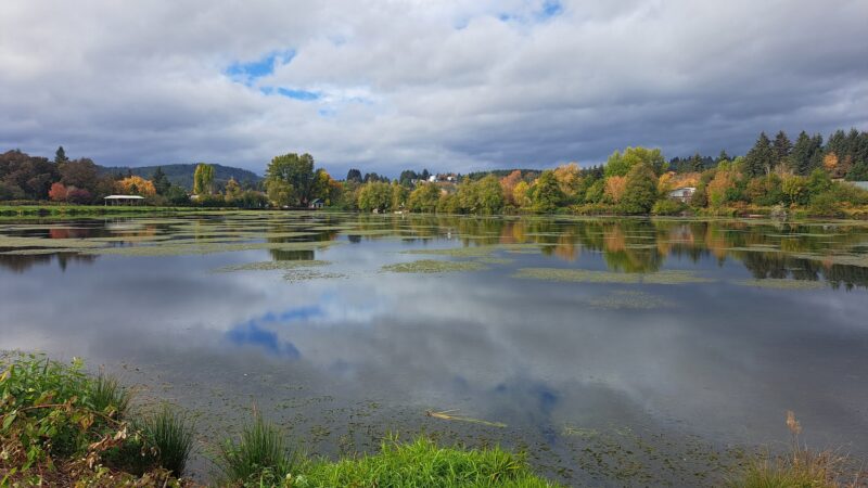 Hampton Park - Willamina, OR