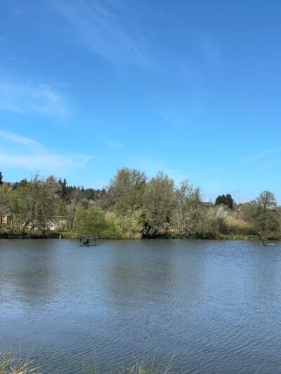 Hampton Park - Willamina, OR