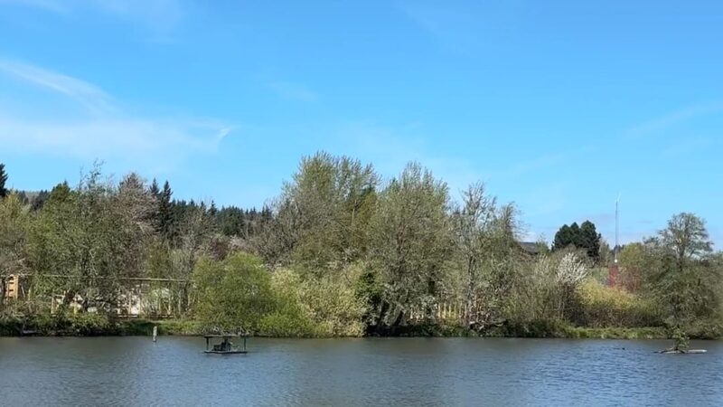 Hampton Park - Willamina, OR