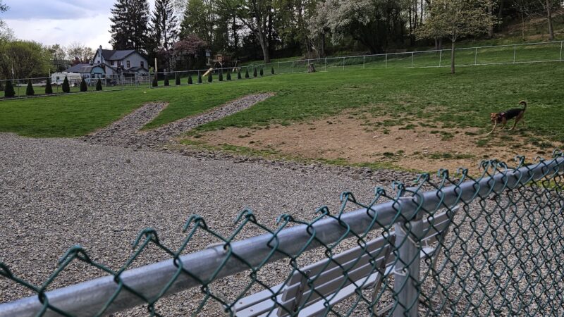 Loyalsock Dog Park - Williamsport, PA