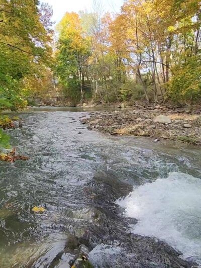 Linear Park - Williamstown, MA