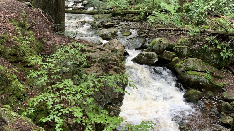 Roaring Brook Trail - Williamstown, MA