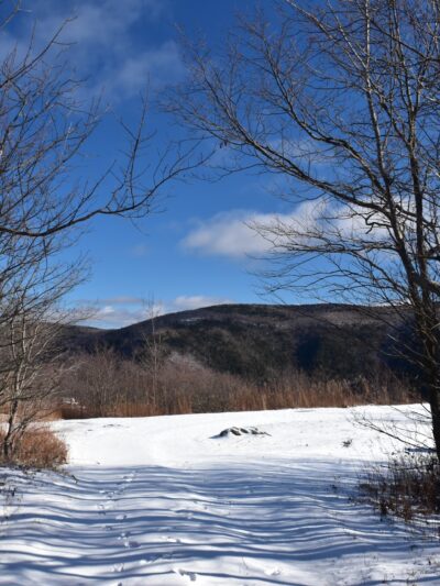 Roaring Brook Trail - Williamstown, MA