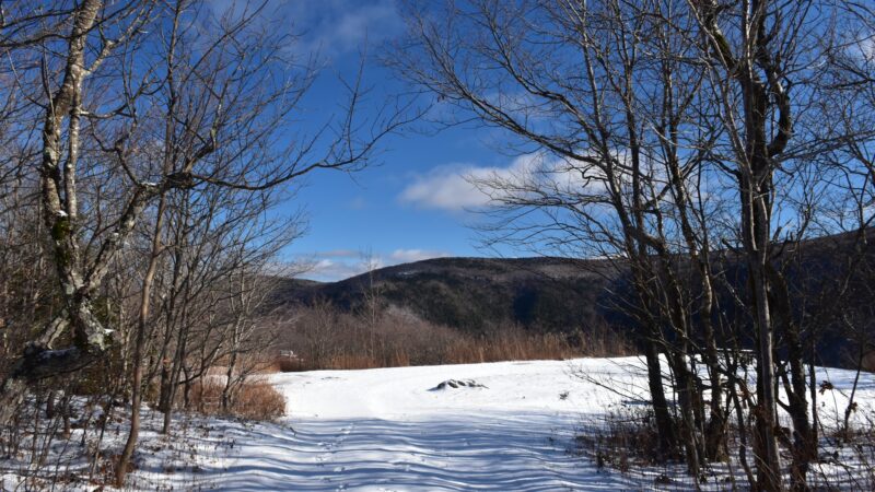 Roaring Brook Trail - Williamstown, MA