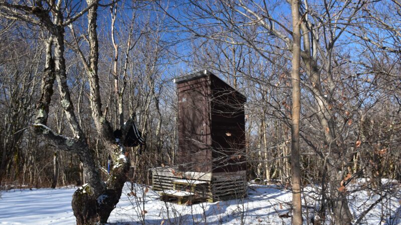 Roaring Brook Trail - Williamstown, MA