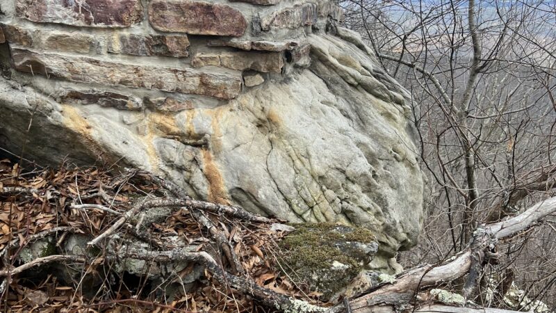 Warm Springs Mountain Preserve - Williamsville, VA