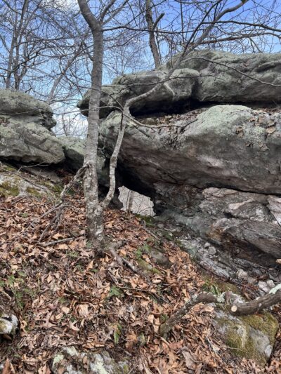 Warm Springs Mountain Preserve - Williamsville, VA