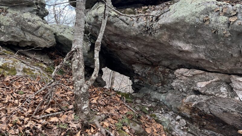 Warm Springs Mountain Preserve - Williamsville, VA