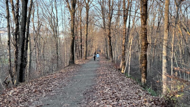 Air Line North Trail Parking - Willimantic, CT
