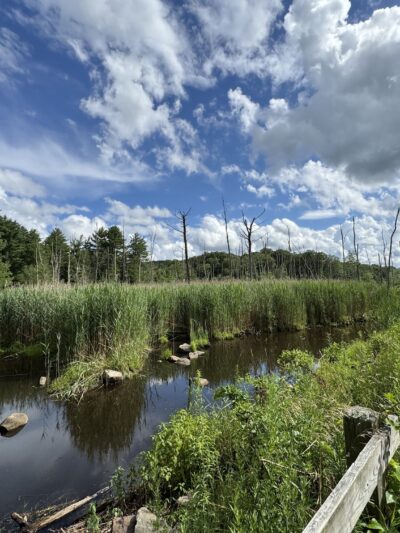 Air Line North Trail Parking - Willimantic, CT