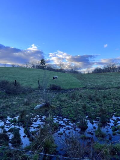 Air Line North Trail Parking - Willimantic, CT