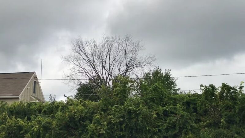 Air Line North Trail Parking - Willimantic, CT