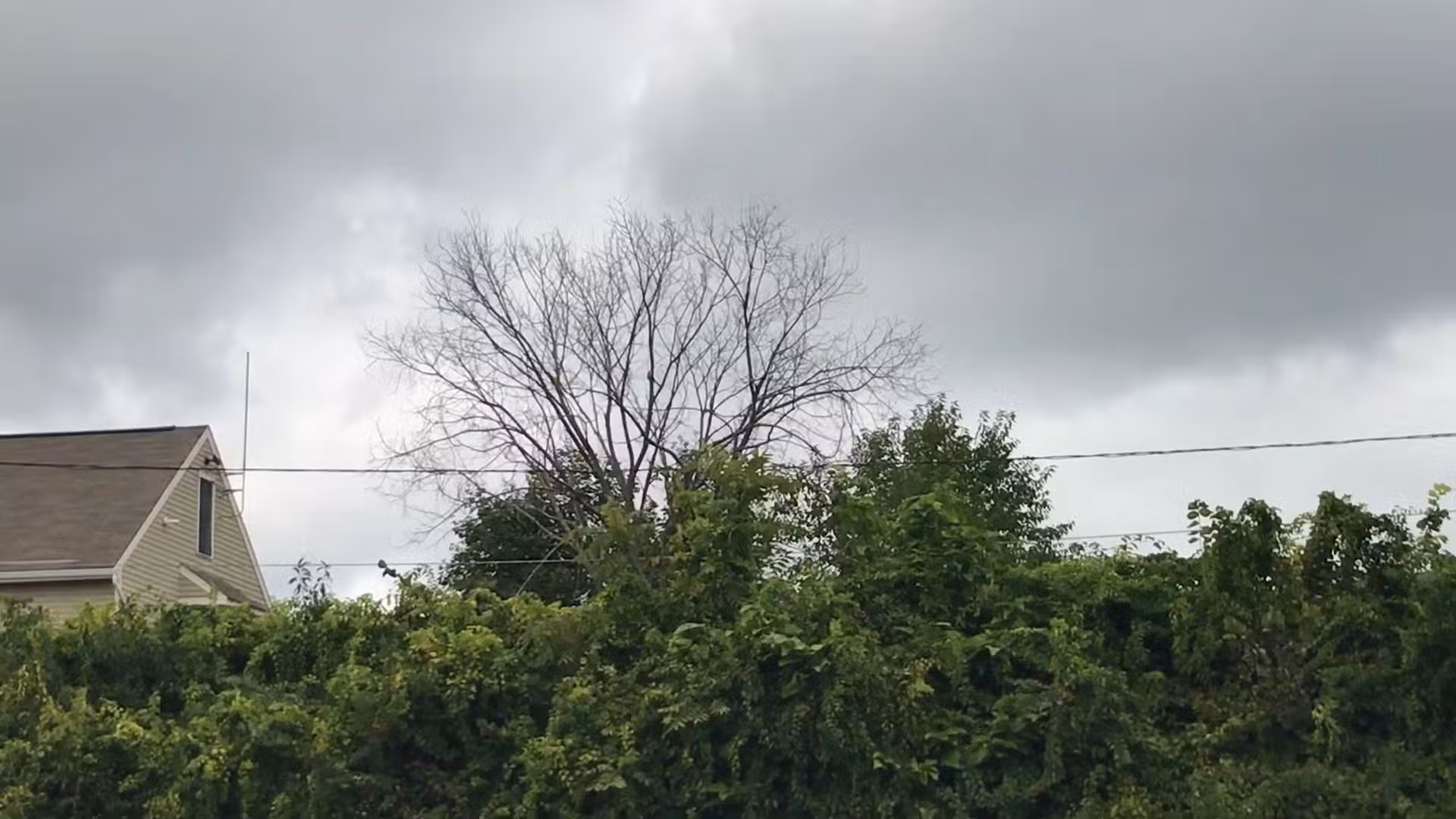 Air Line North Trail Parking - Willimantic, CT