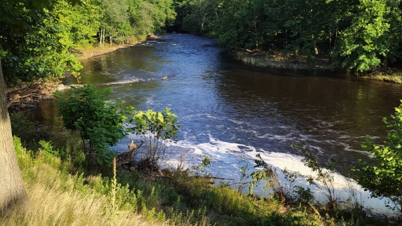 Garden on the Bridge - Willimantic, CT