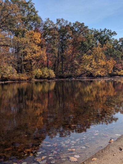 Philip Lauter Park - Willimantic, CT