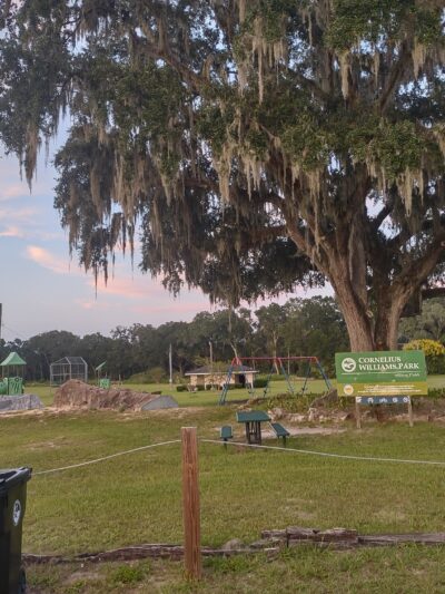 Cornelius Williams Park - Williston, FL