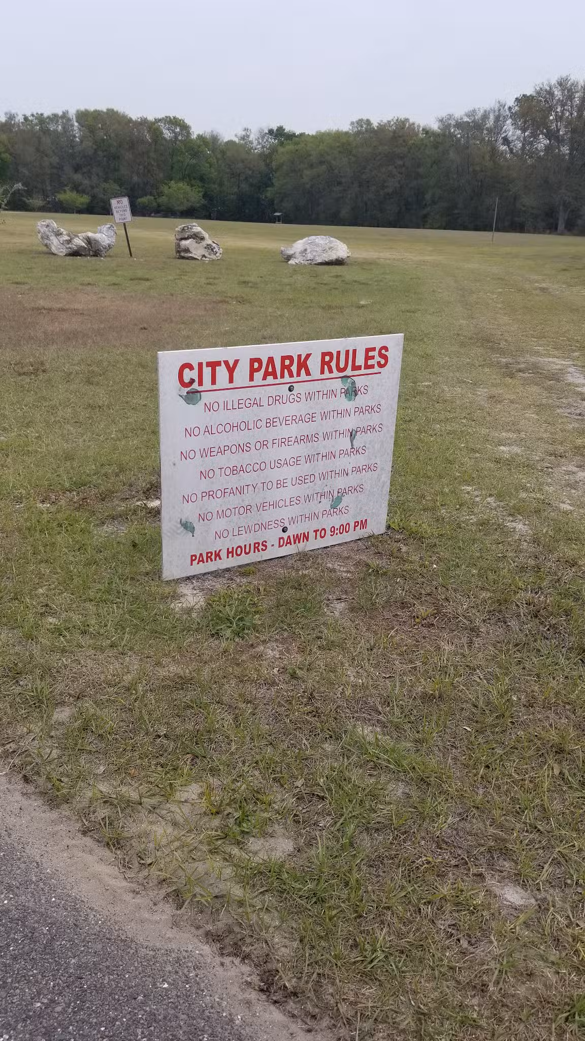 Cornelius Williams Park - Williston, FL