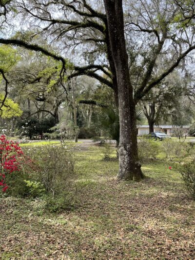 Peggy O'Neill Basham Nature Park - Williston, FL