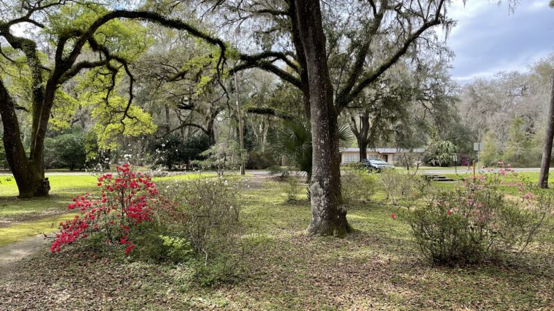 Peggy O'Neill Basham Nature Park - Williston, FL
