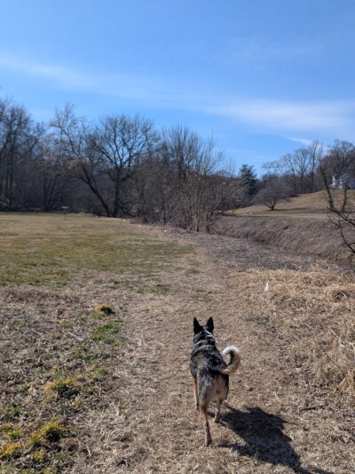 Strasburg Township Park - Willow Street, PA