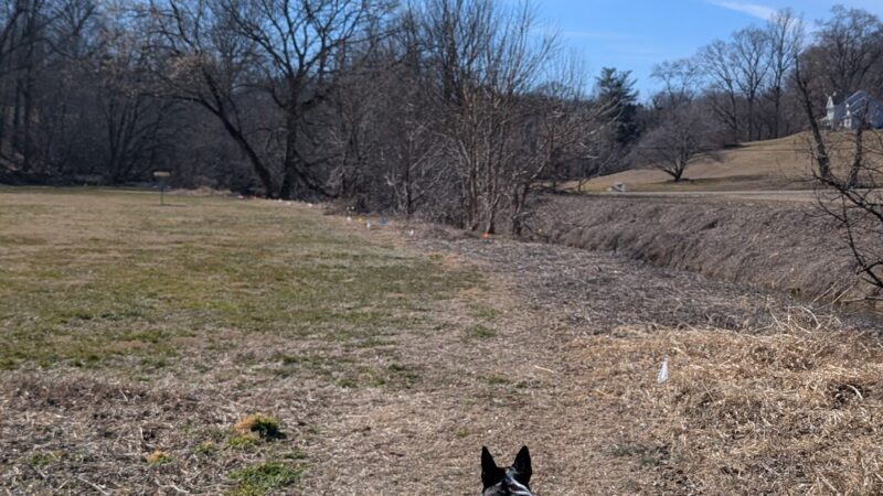 Strasburg Township Park - Willow Street, PA