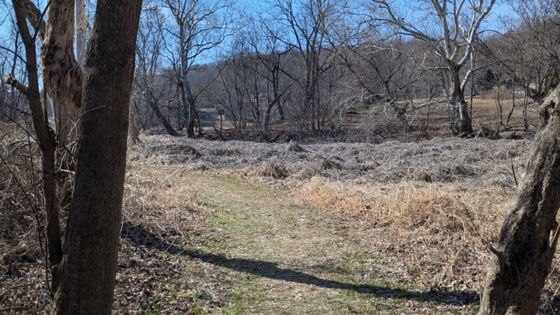 Strasburg Township Park - Willow Street, PA