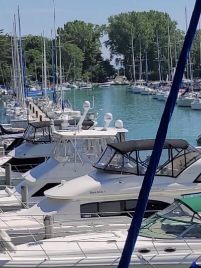 Gillson Park Dog Beach - Wilmette, IL