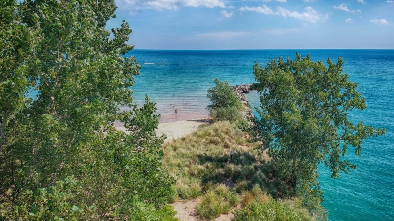 Gillson Park Dog Beach - Wilmette, IL