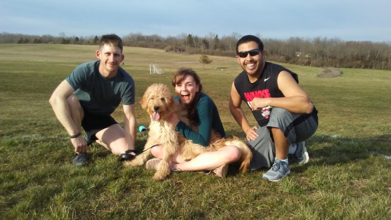 Mackenzie Sayre Dog Park - Wilmore, KY