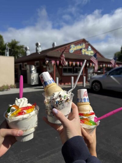 Brownie's Custard Stand / Eats and Treats - Wilson, NY