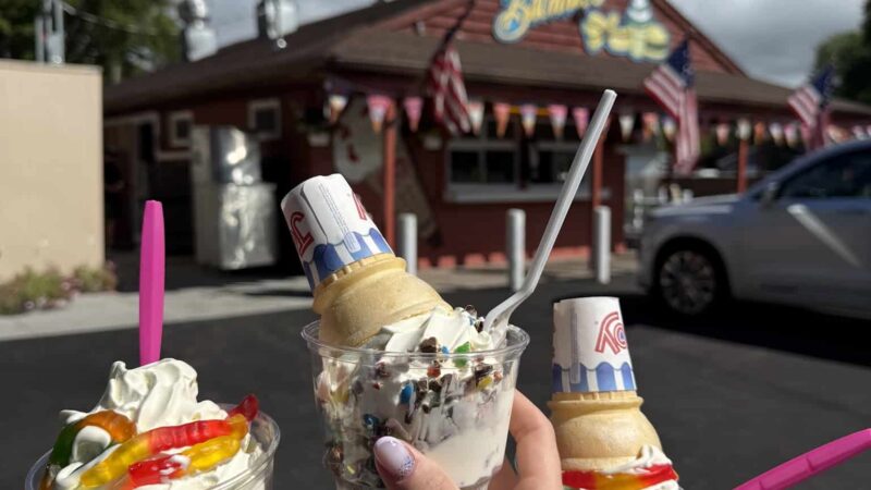 Brownie's Custard Stand / Eats and Treats - Wilson, NY