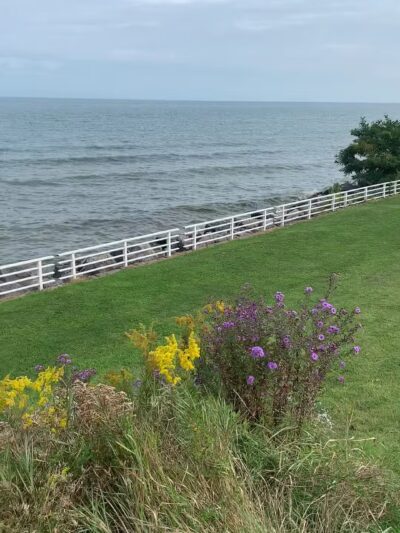 Daisy Barn Campground - Wilson, NY