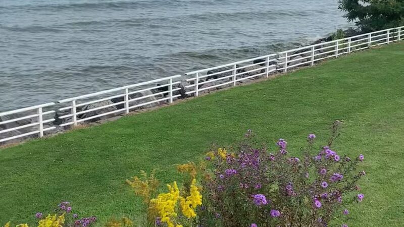 Daisy Barn Campground - Wilson, NY