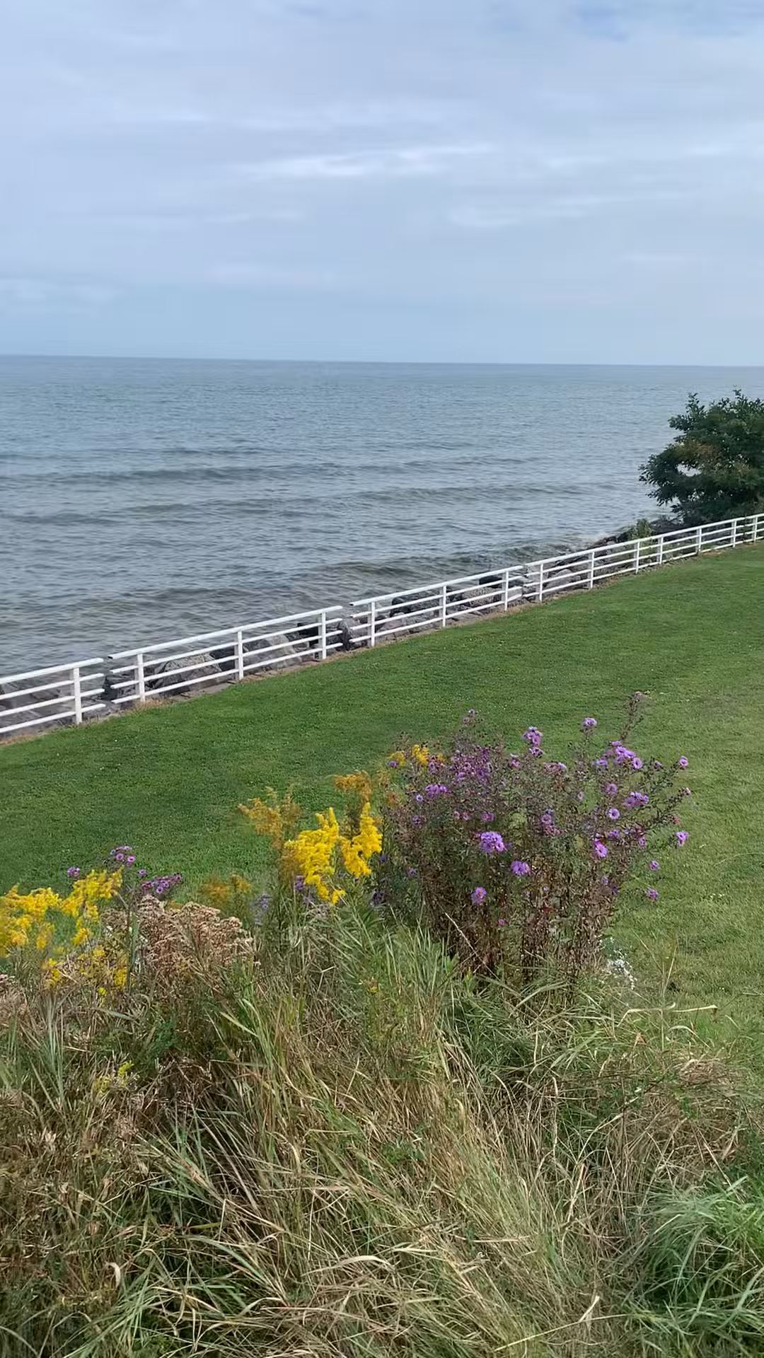 Daisy Barn Campground - Wilson, NY