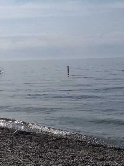 Wilson-Tuscarora State Park - Wilson, NY