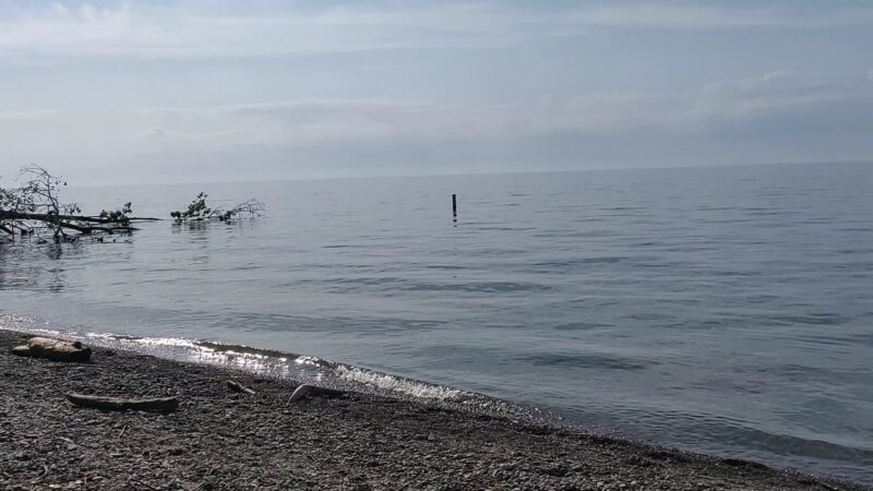 Wilson-Tuscarora State Park - Wilson, NY