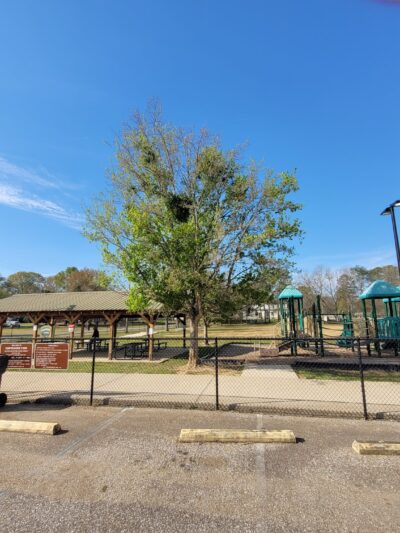 Oak Meadow Park - Wilsonville, AL