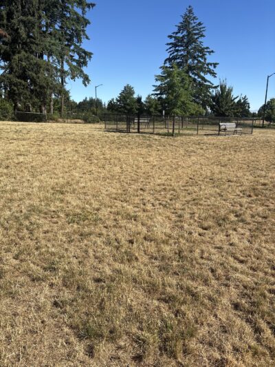 Dog park - Wilsonville, OR