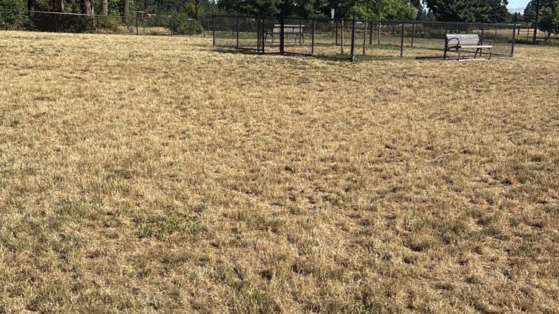 Dog park - Wilsonville, OR