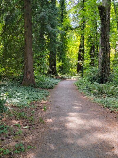 Memorial Dog Park - Wilsonville, OR